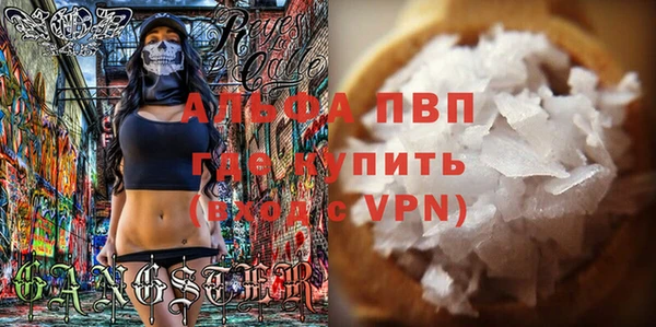 ГАЛЛЮЦИНОГЕННЫЕ ГРИБЫ Михайлов