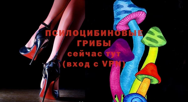 дмт Михайловск