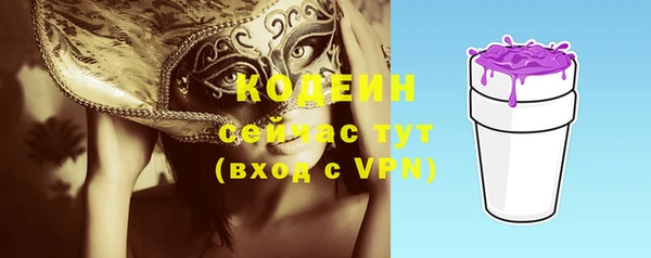 ГАЛЛЮЦИНОГЕННЫЕ ГРИБЫ Михайлов