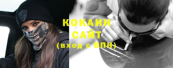 ГАЛЛЮЦИНОГЕННЫЕ ГРИБЫ Михайлов