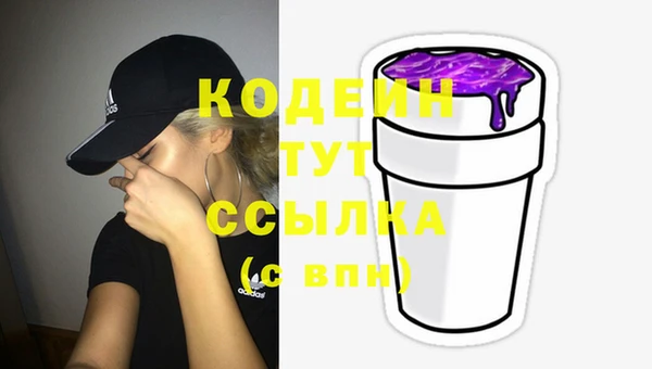 ГАЛЛЮЦИНОГЕННЫЕ ГРИБЫ Михайлов