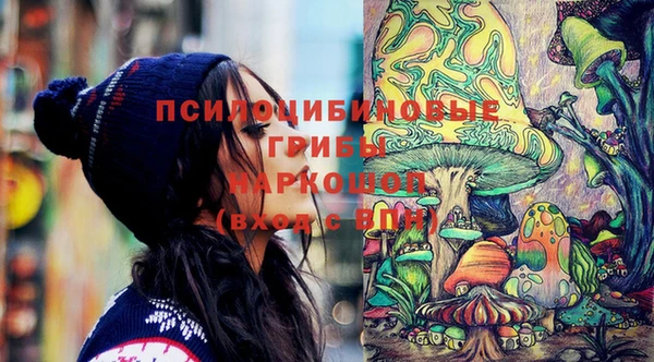 дмт Михайловск