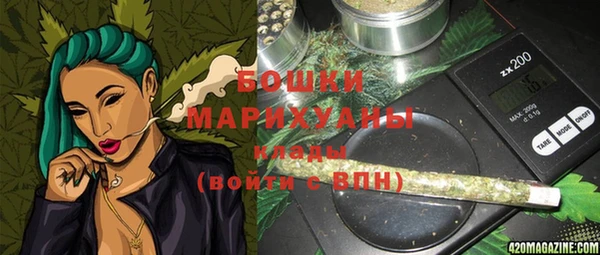 ГАЛЛЮЦИНОГЕННЫЕ ГРИБЫ Михайлов
