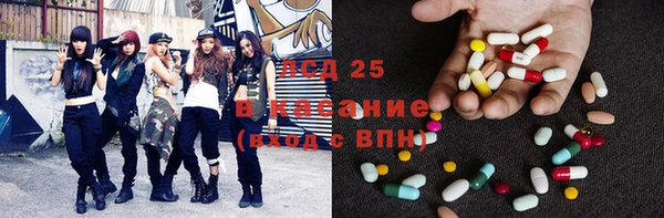 ГАЛЛЮЦИНОГЕННЫЕ ГРИБЫ Михайлов