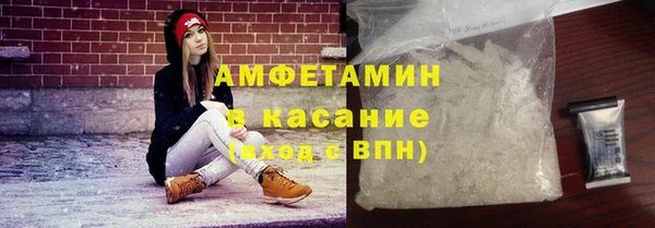ГАЛЛЮЦИНОГЕННЫЕ ГРИБЫ Михайлов