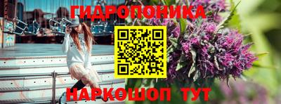 индика Изобильный