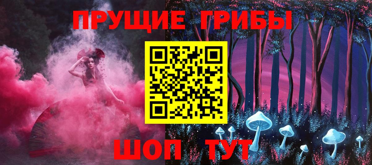 Псилоцибиновые грибы GOLDEN TEACHER  Галлюциногенные грибы Psilocybine cubensis  Вход с VPN  Нижнекамск 