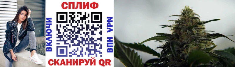 продажа наркотиков  Нижнекамск  Конопля SATIVA & INDICA 